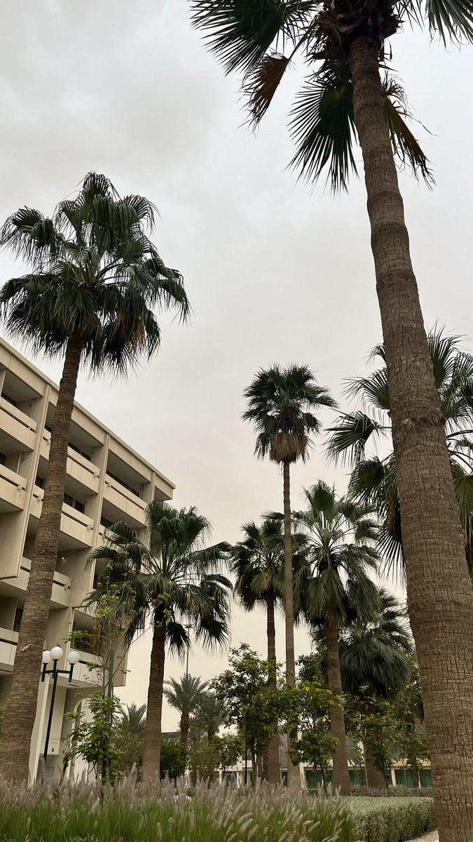 عبدالله tweet media