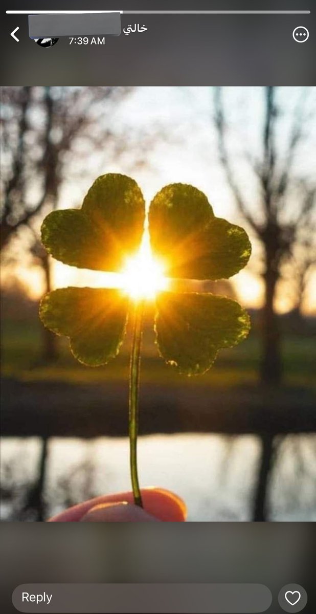 العنود tweet media