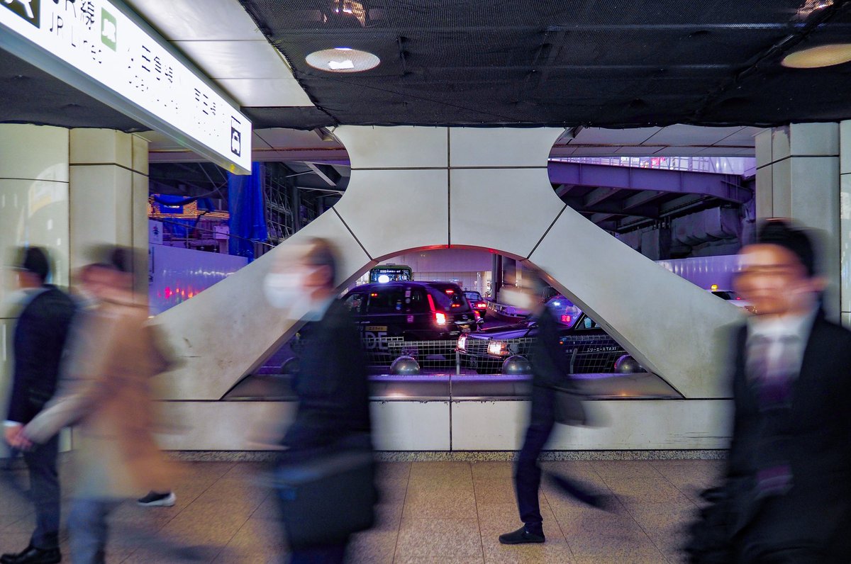 だいこん tweet media