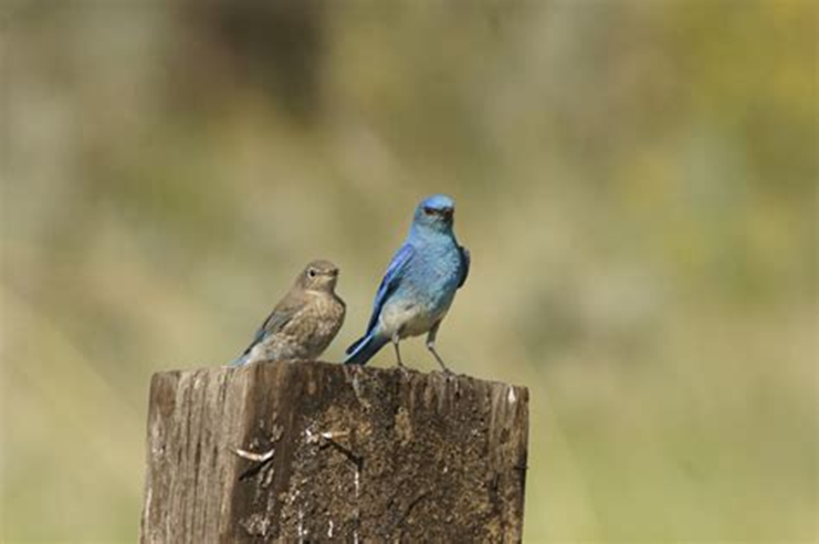 Eva Close tweet media