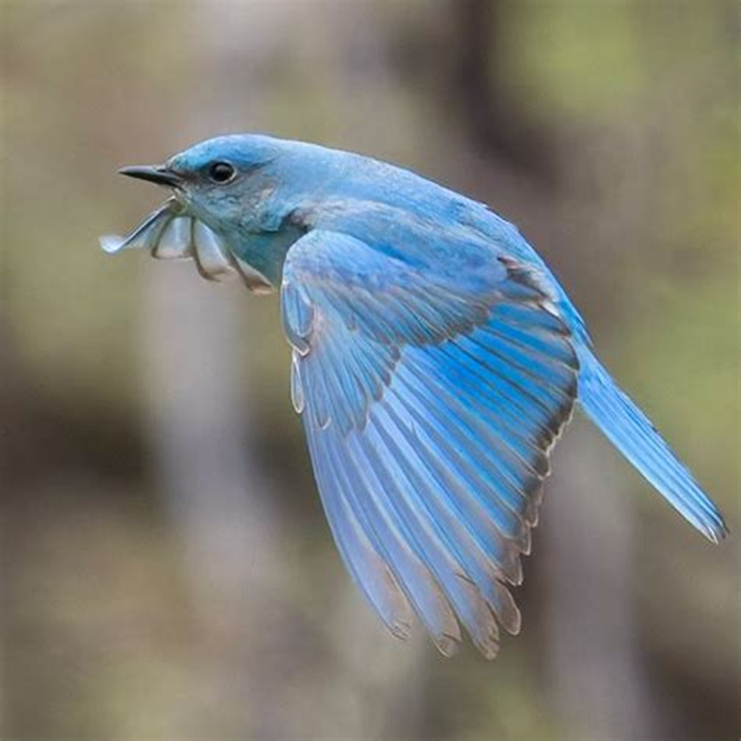 Eva Close tweet media