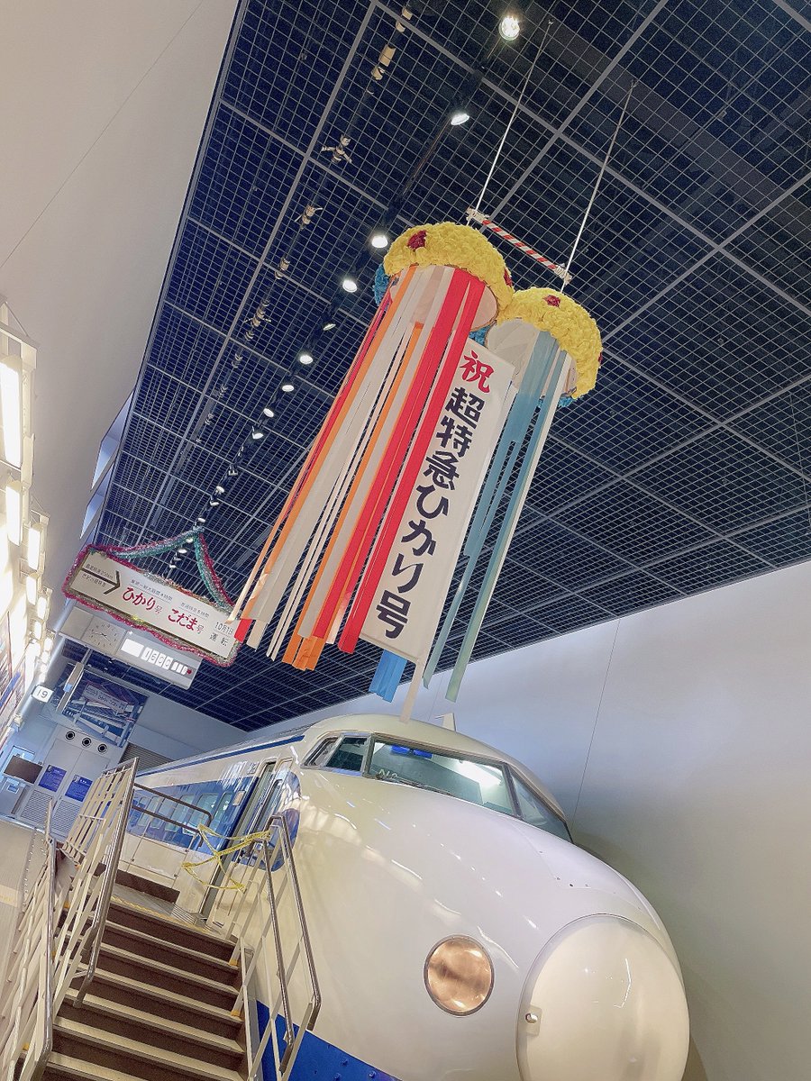 本田 珠由記 tweet media