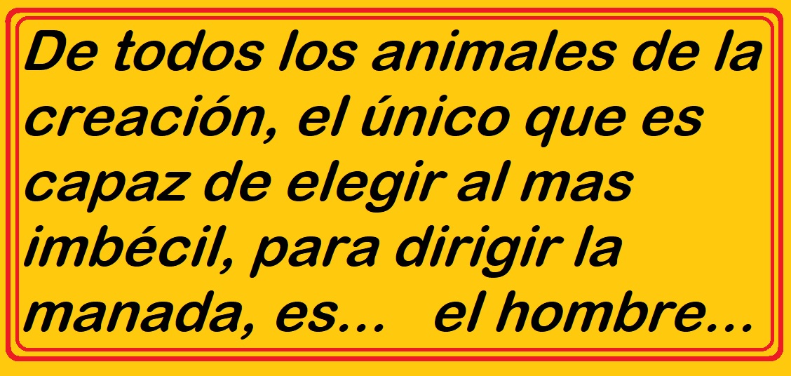 RobeR ReboR tweet media