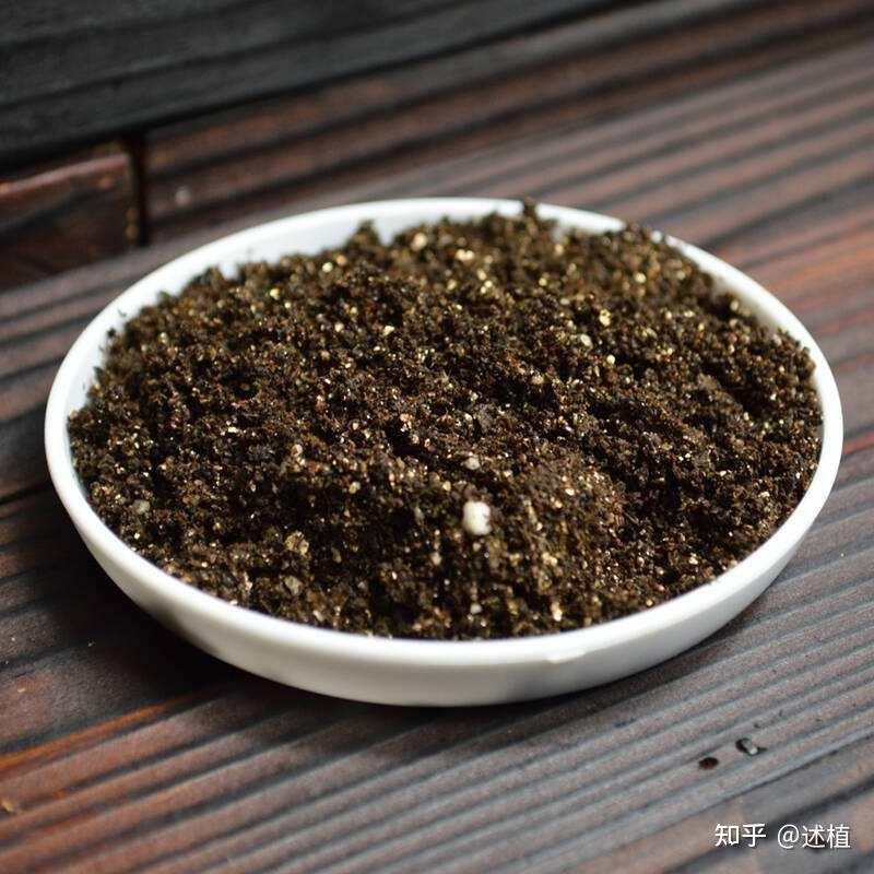 David Hicken tweet media