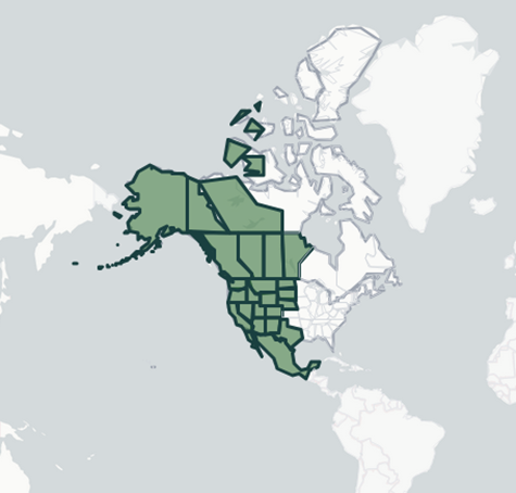 Eva Close tweet media