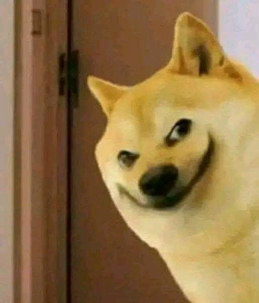 TL ENTERTAINMENT😎2.0 tweet media