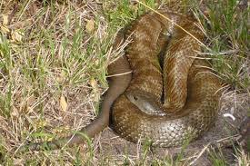 Jake 🍺 tweet media