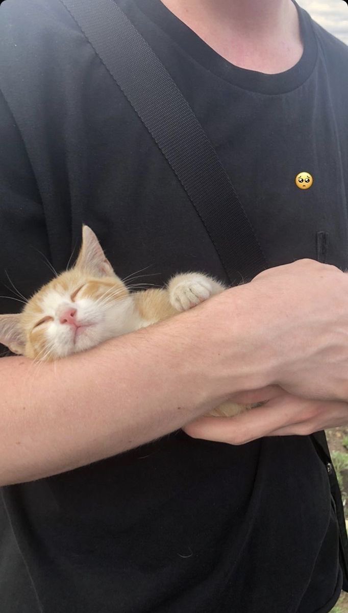 drgnflydnp's tweet image. lovro360_ posted a new story! #sramhr #kolačić