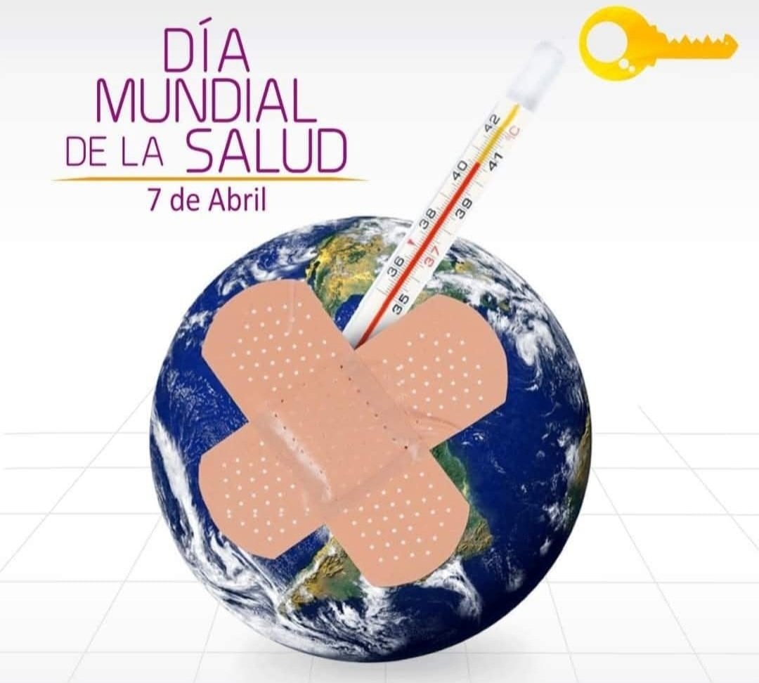 Alejandra Sosa tweet media