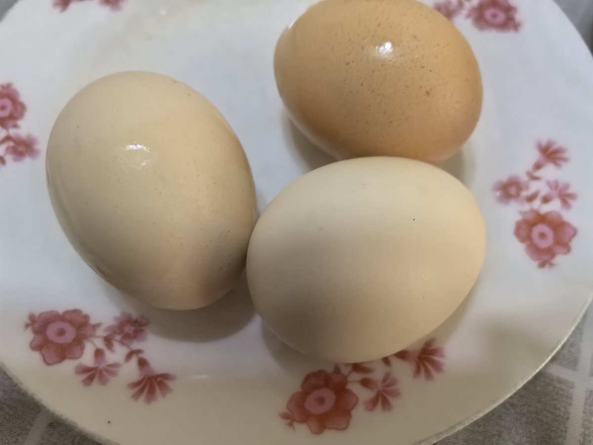 DINESH NETAM tweet media