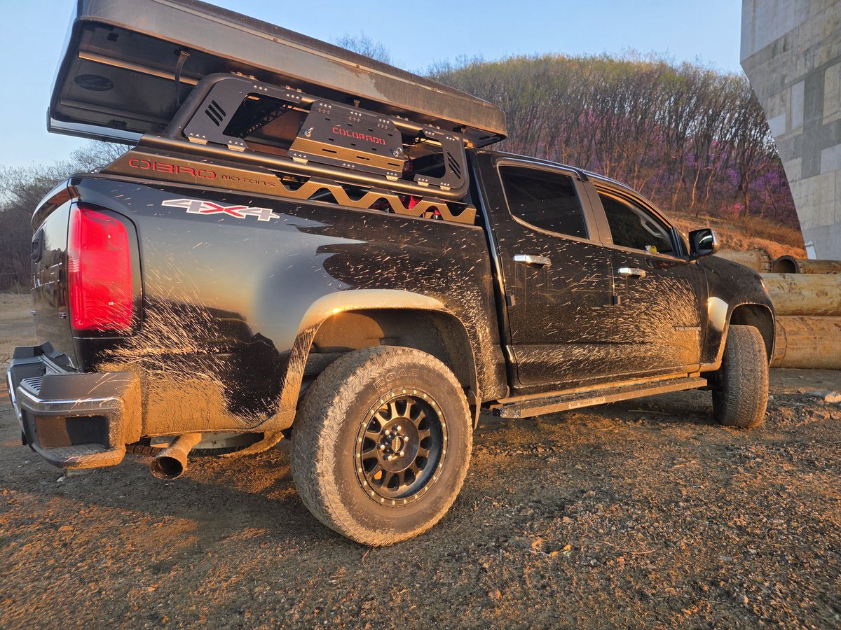 댕댕이주인님 tweet media