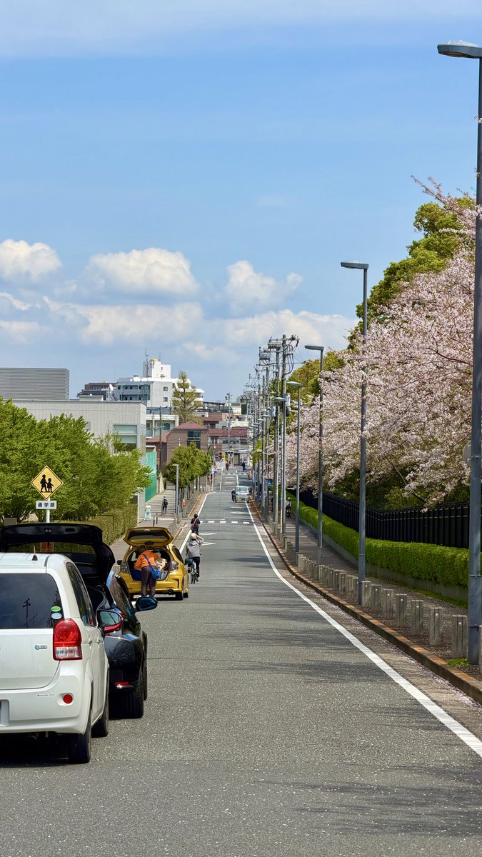 SebastianBlix's tweet photo. Spring in Japan is as beautiful as they say it is.🌸
What's your favorite season? #japan #tokyo #spring #sakura #cherryblossom https://t.co/Ei6VxEz4Xz