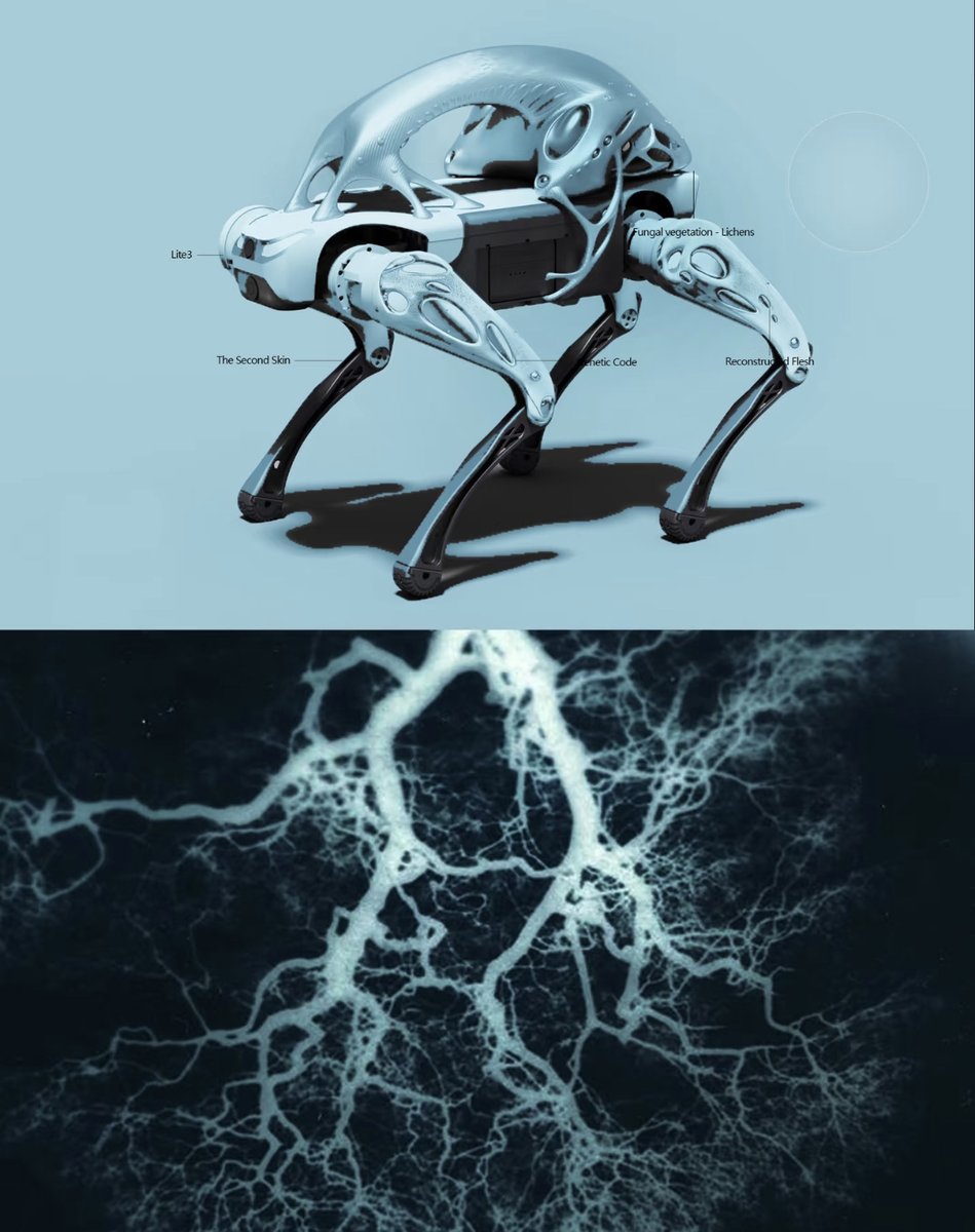 DEEP Robotics tweet media