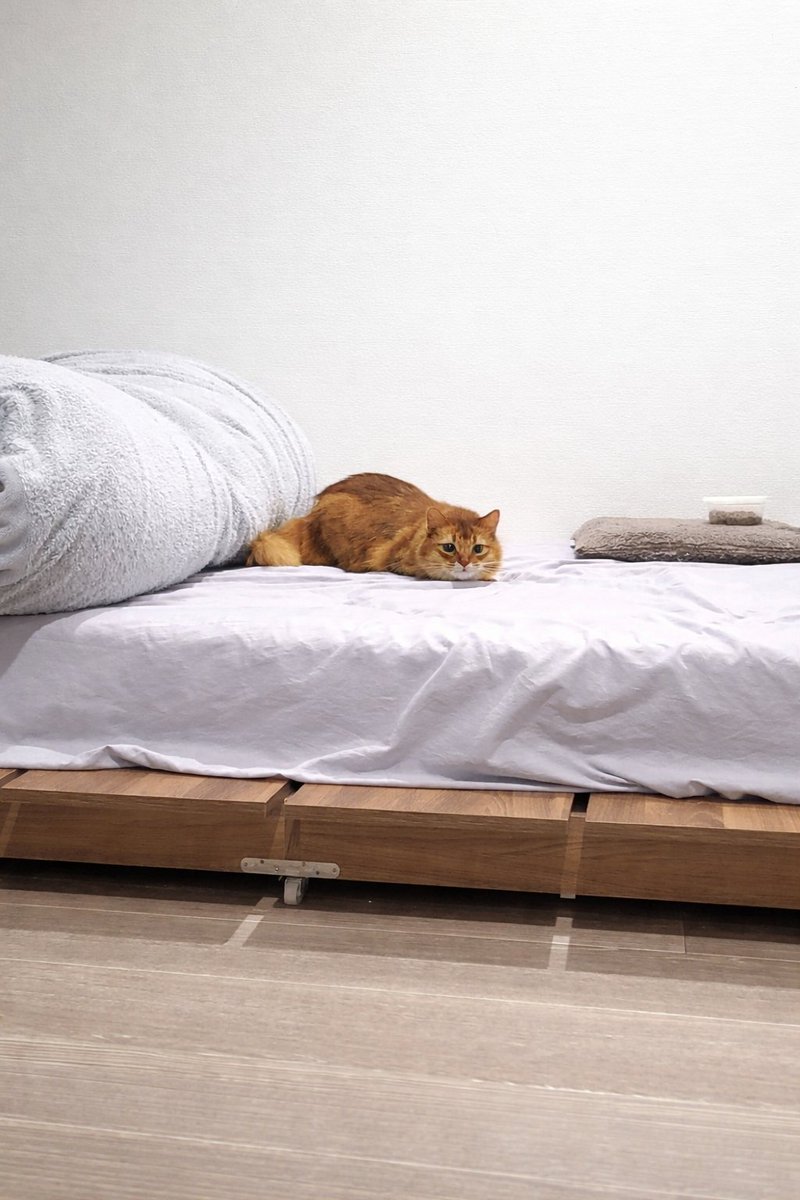 キラキラした目でこちらを見ている