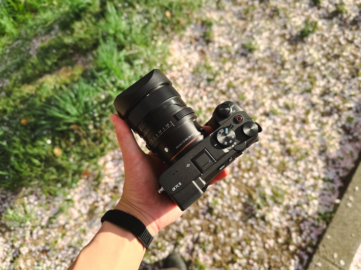 1ch_don's tweet photo. 僕のお気に入りのレンズに「65mm」っちゅうのがありましてですね、ちょ〜ど良いサイズ感で85mmほど使いにくくない中望遠。
ちょっと公園に遊びに行っただけでドラマチックな写真が撮れるからおすすめですよ〜 https://t.co/kg24CbxdAq