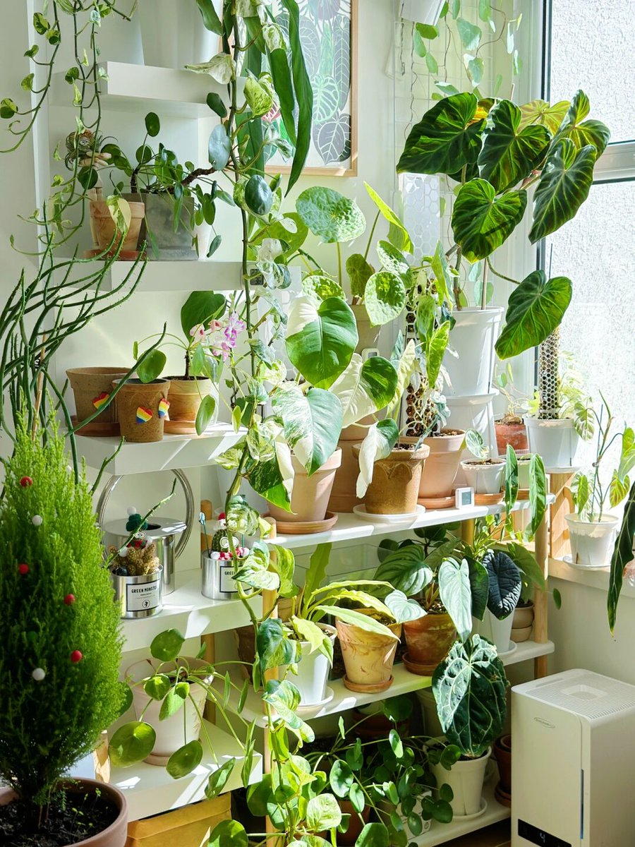 Vitor Sequeira tweet media