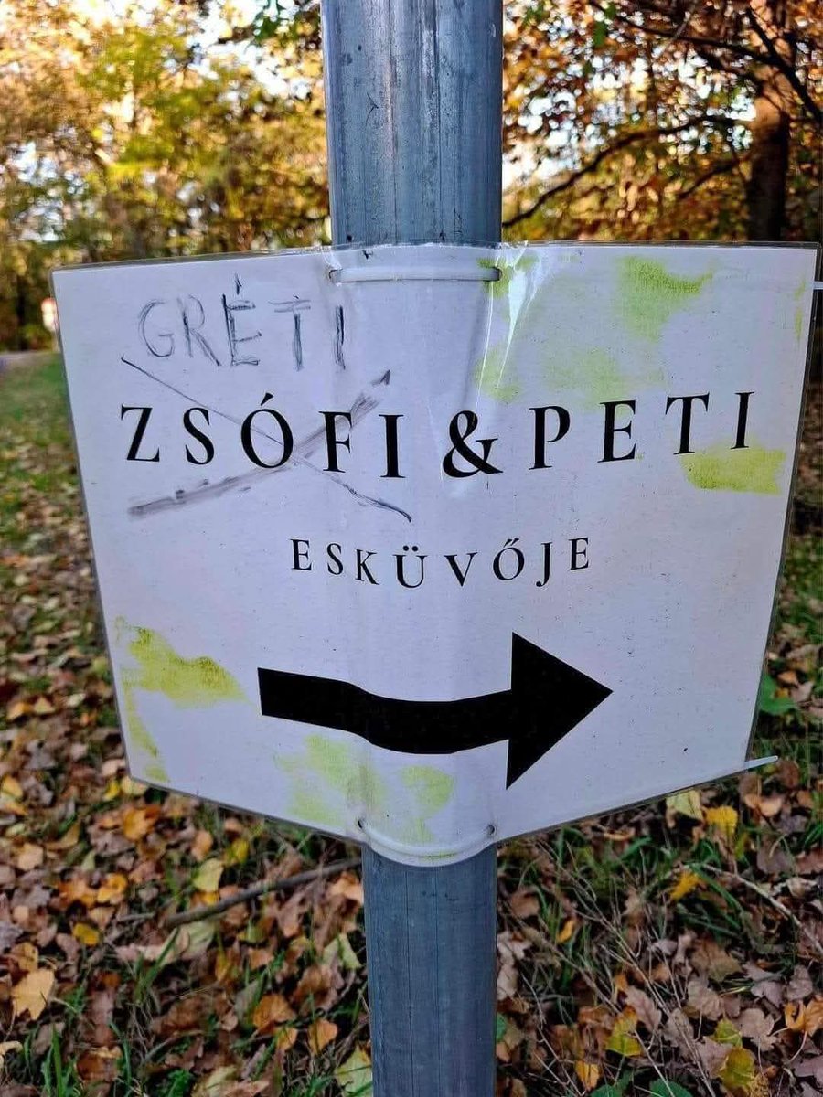 Gábor Molnár tweet media