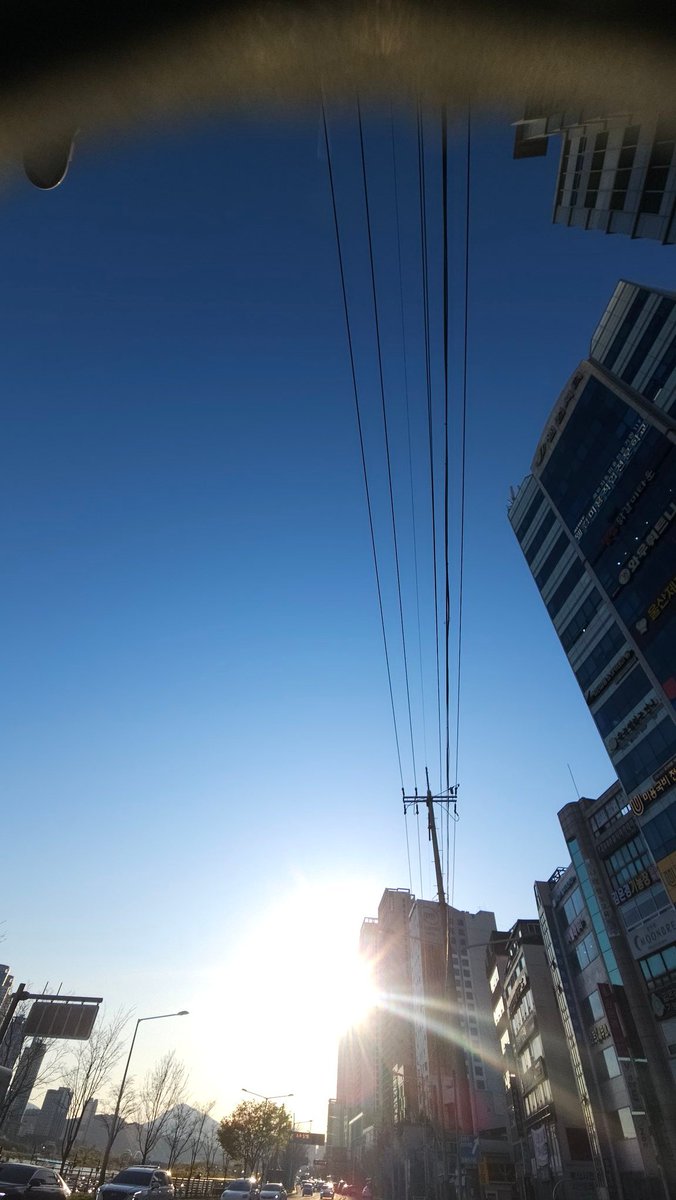 🐳Trail Runner Choi🐳 tweet media