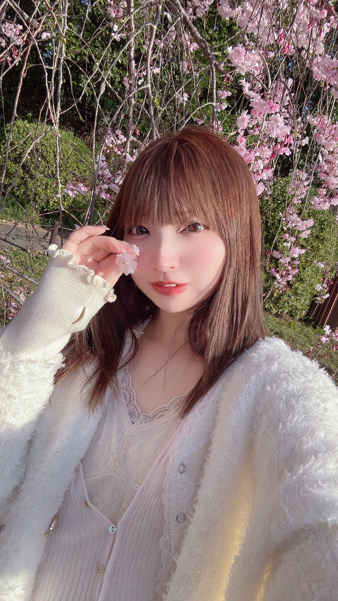 ใฏใชใณ๐เพเฝฒ๐ชฝ tweet media