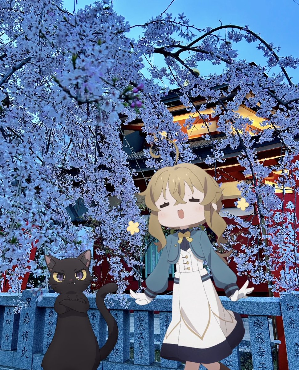 かすみ🪄⌒✶⋆ tweet media