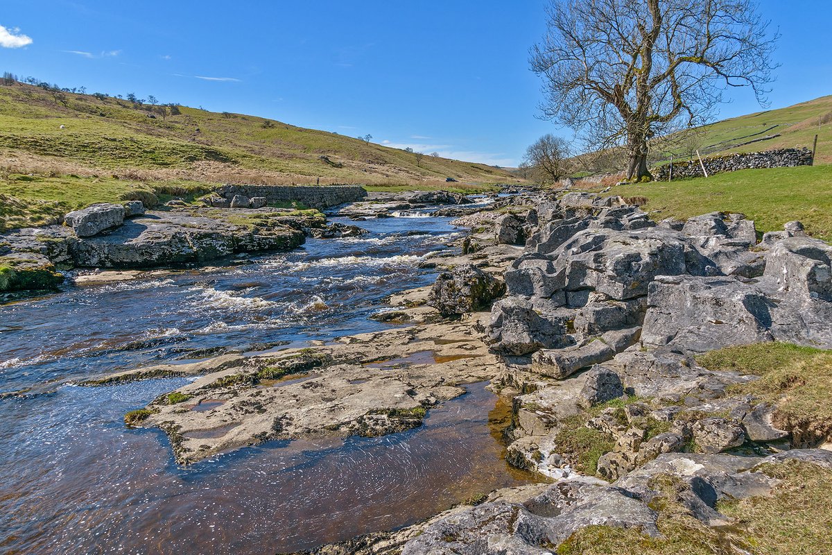 YorkshireLass tweet media