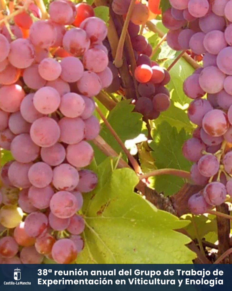 Consejería de Agricultura, Ganadería y Des. Rural tweet media