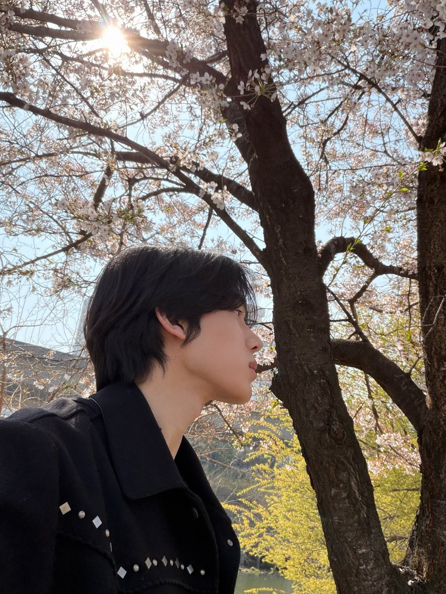 이쁘당🩷🌸🩷🌸🩷🩷🌸🩷🌸