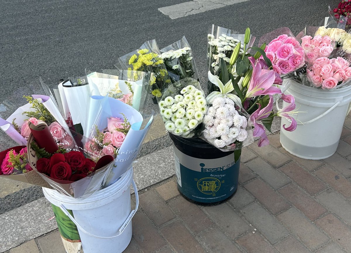 🐏🐟 tweet media