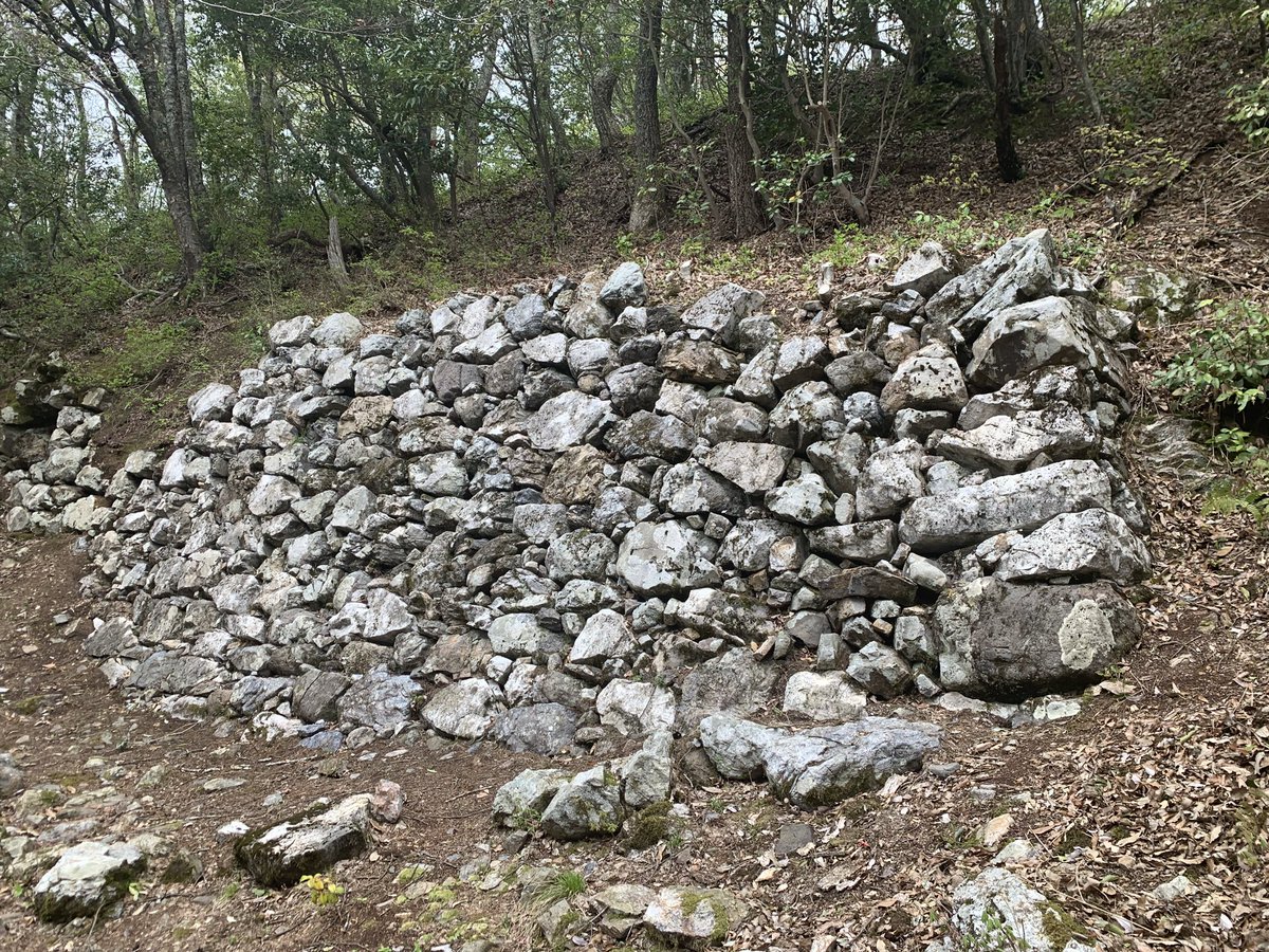 中井均 tweet media