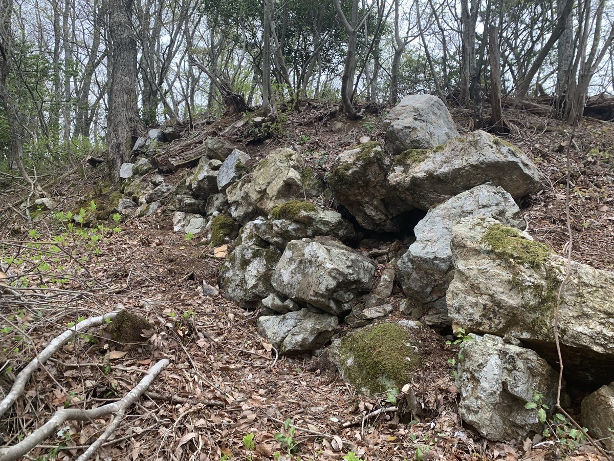 中井均 tweet media