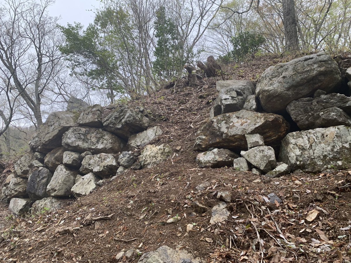 中井均 tweet media