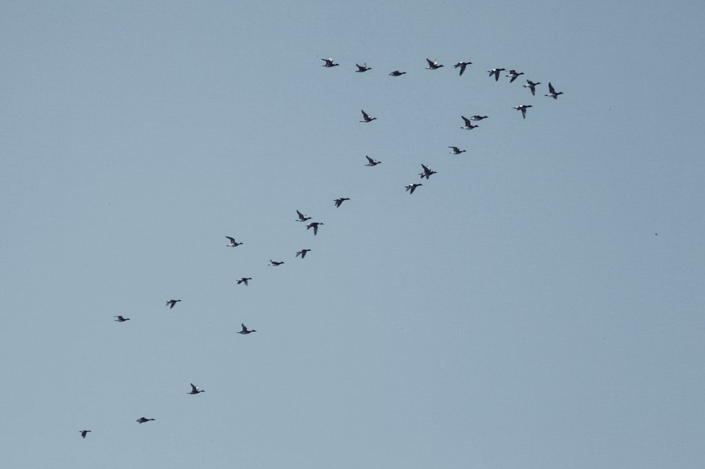 yuko horikiri tweet media