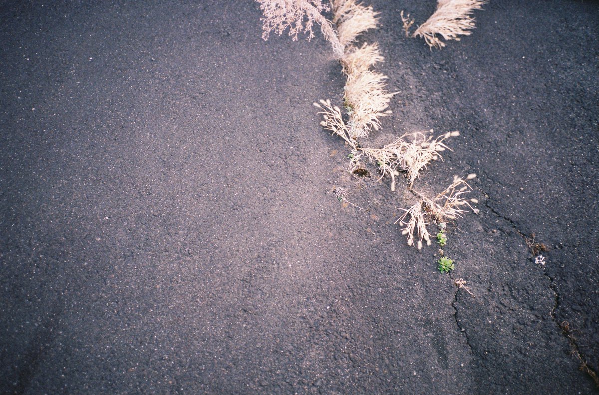 yuko horikiri tweet media