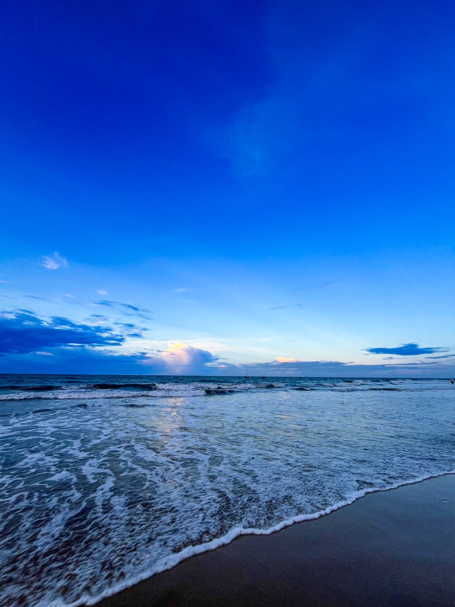 jubilada das faculdades mentais tweet media