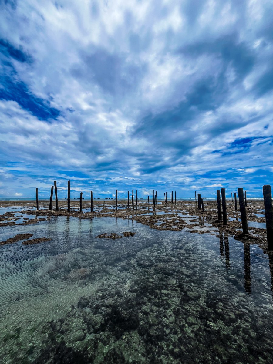 jubilada das faculdades mentais tweet media