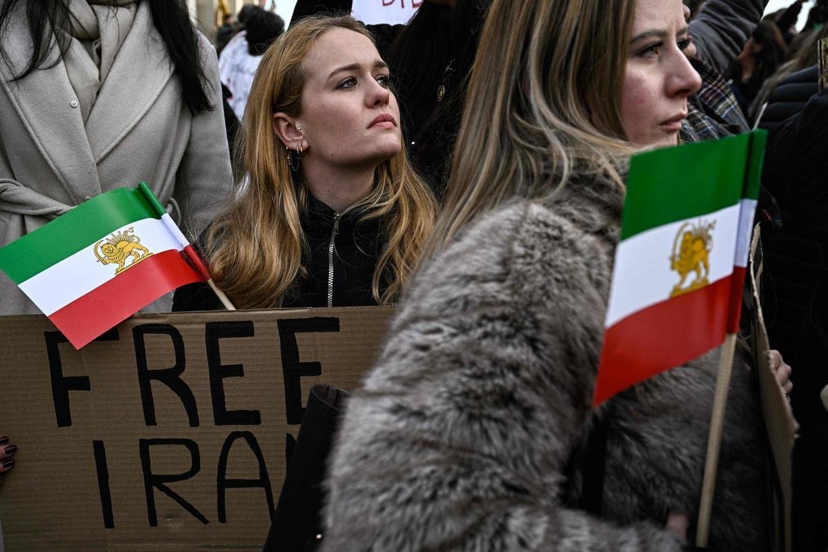 Border Collie (בורדר קולי) tweet media