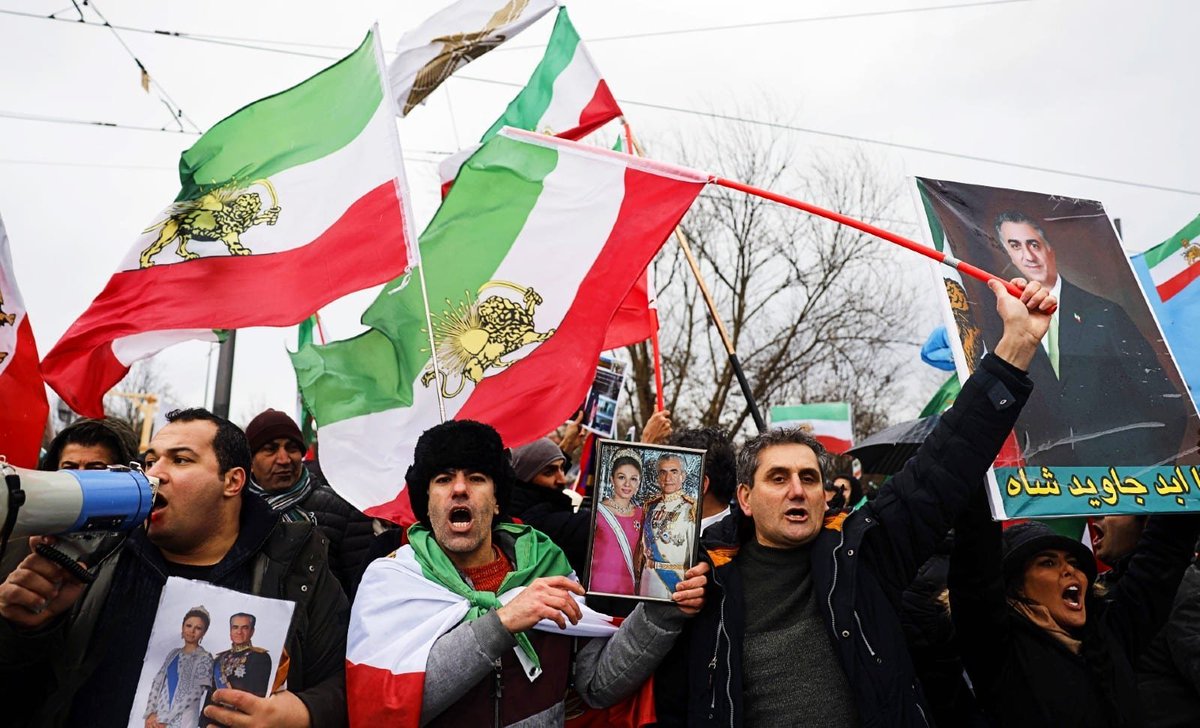 Border Collie (בורדר קולי) tweet media