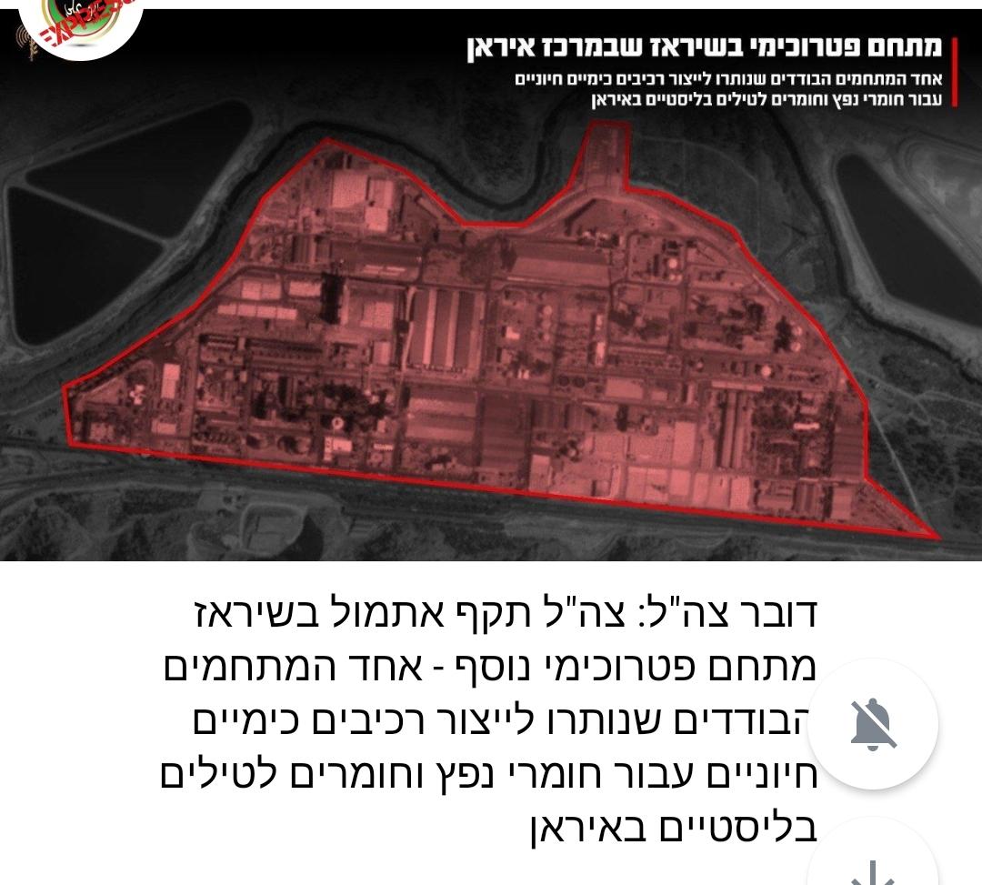 צוד בדיחי tweet media