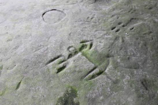 JeffUPNorth tweet media