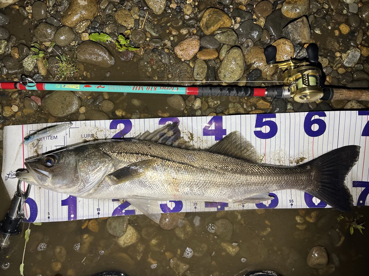 ゆうた tweet media