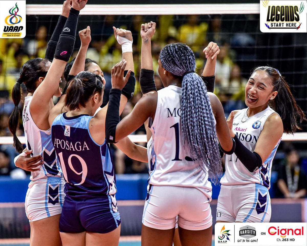 BitchVolley tweet media