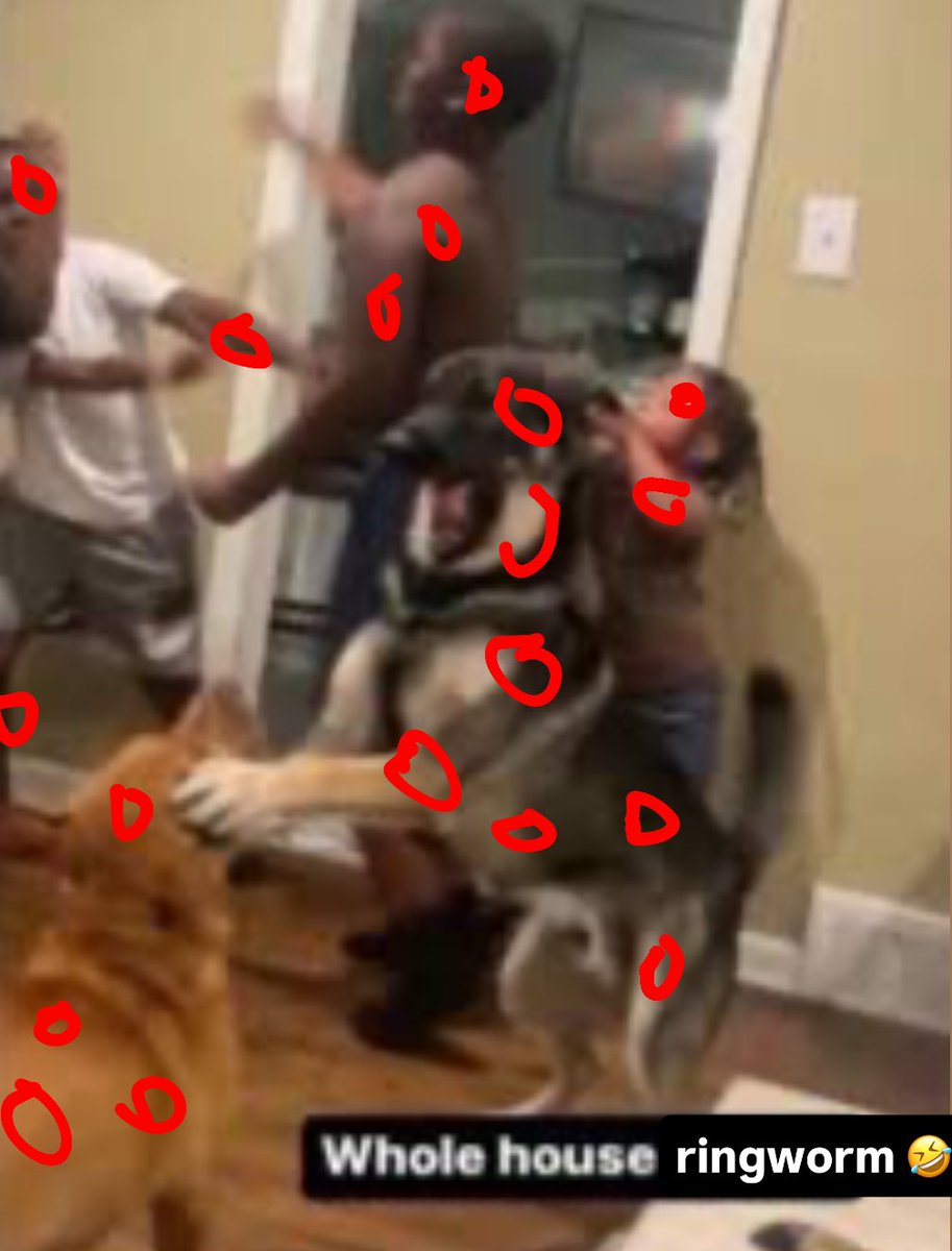 cas 🐧 tweet media