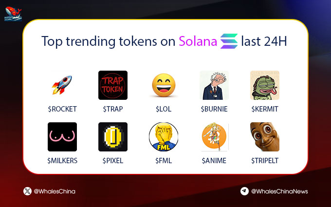 Whales China巨鲸 tweet media