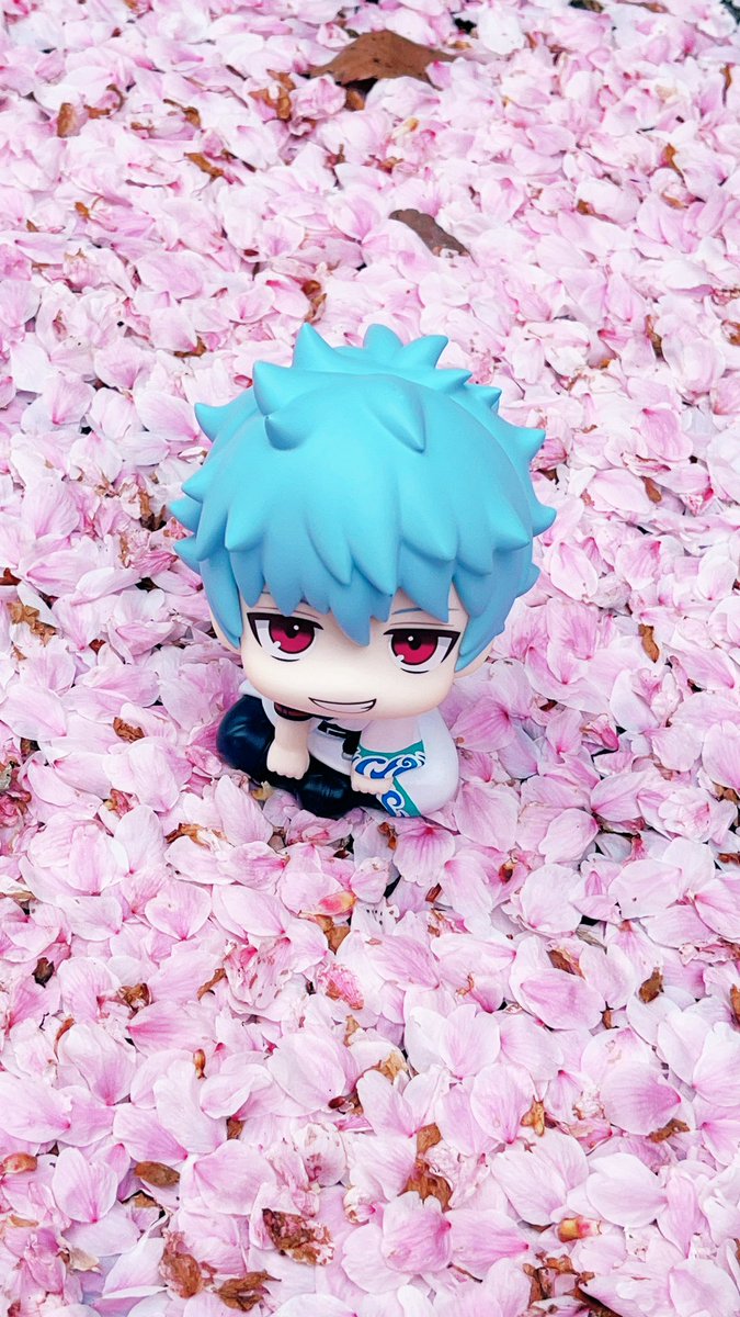 ( ・vほうか@取引垢 tweet media