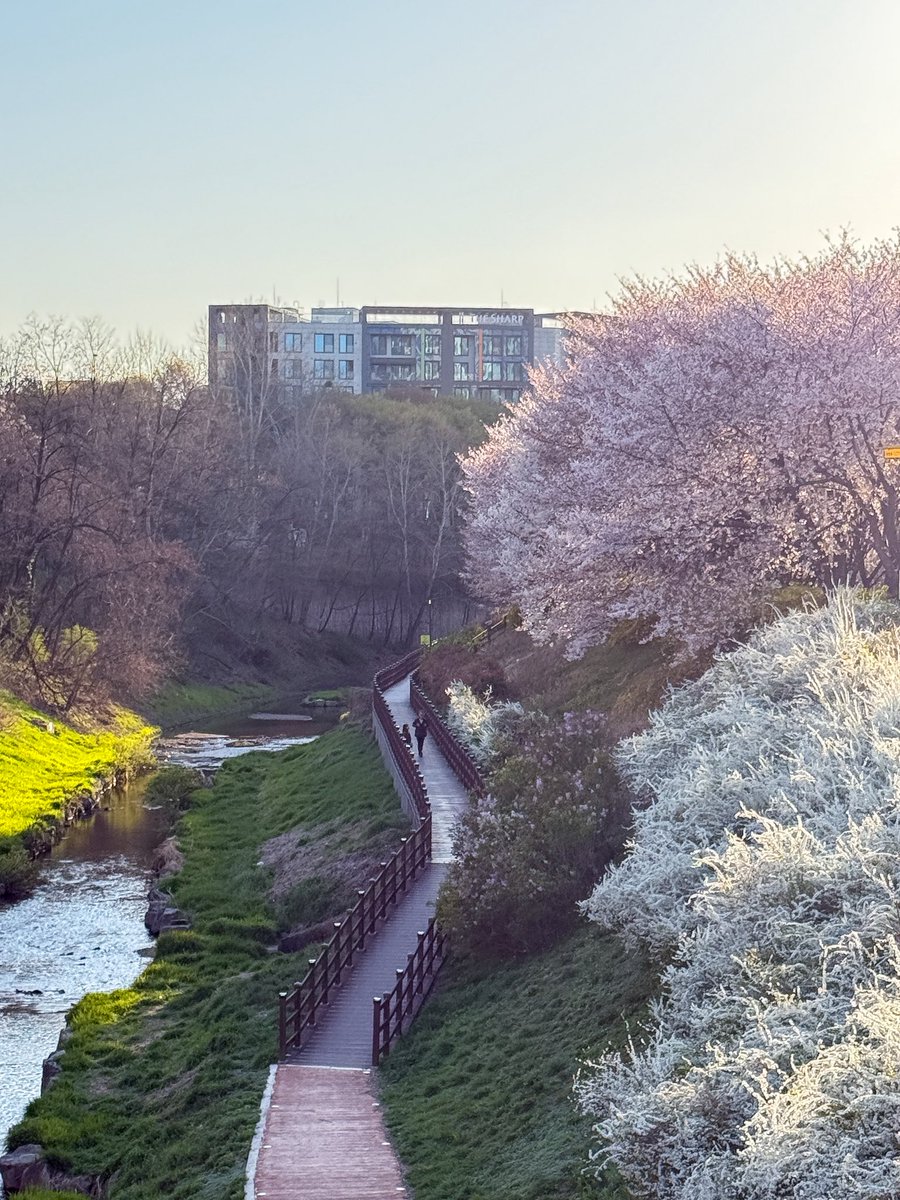 เม้าท์มอยเกาหลี tweet media