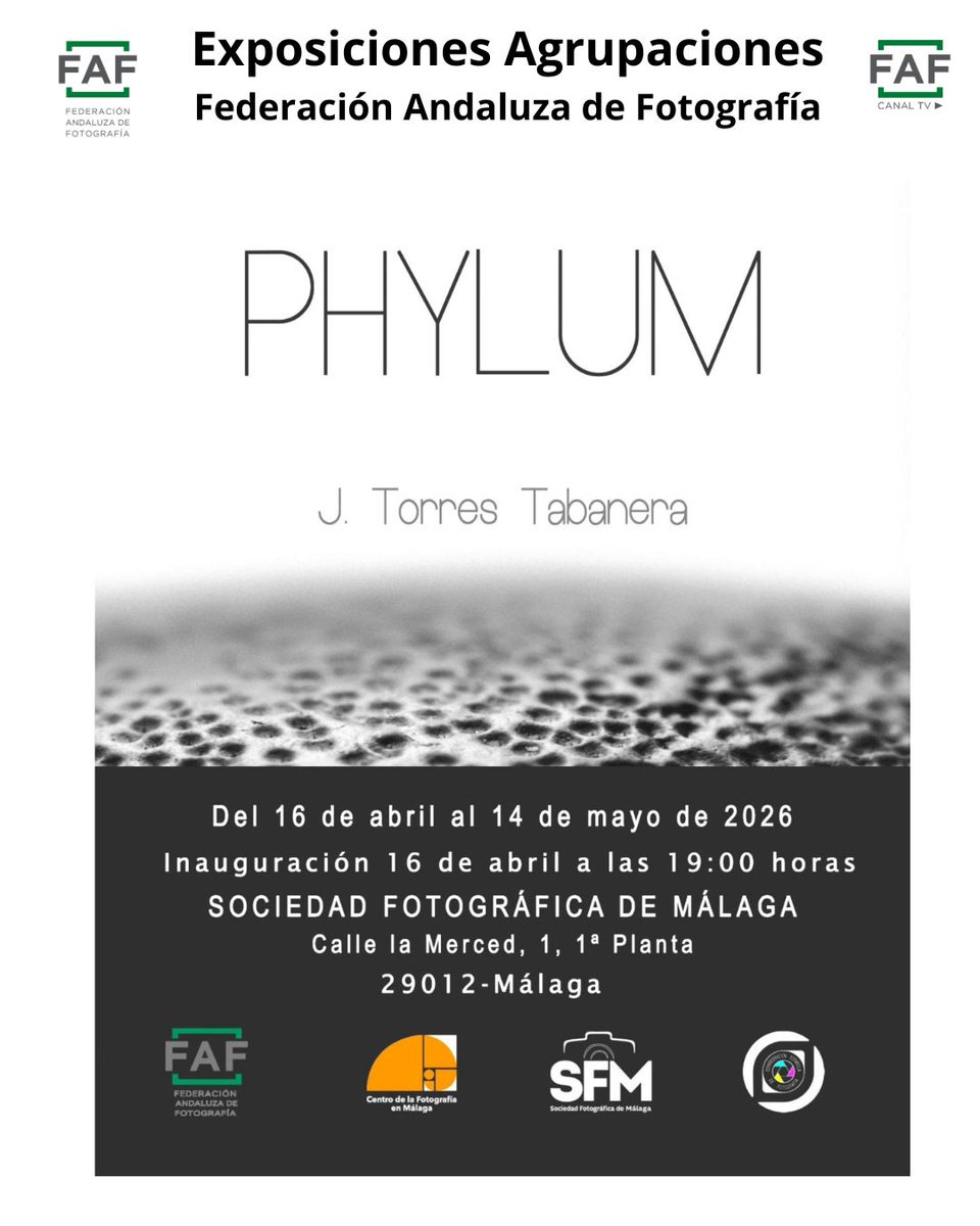 Federación Andaluza de Fotografía -FAF- tweet media