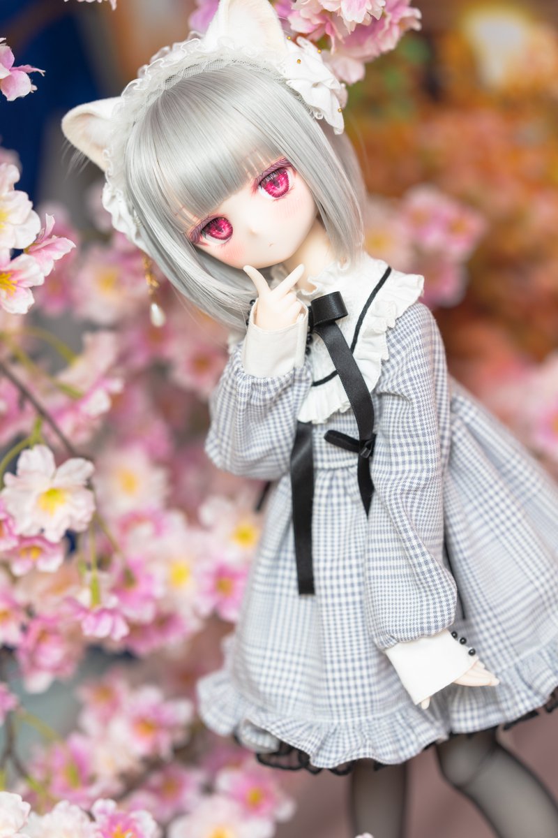 Komaerrh's tweet image. #ぽえっ子
#ナナイロテントウ
#ナナイロテントウ春の撮影会2026