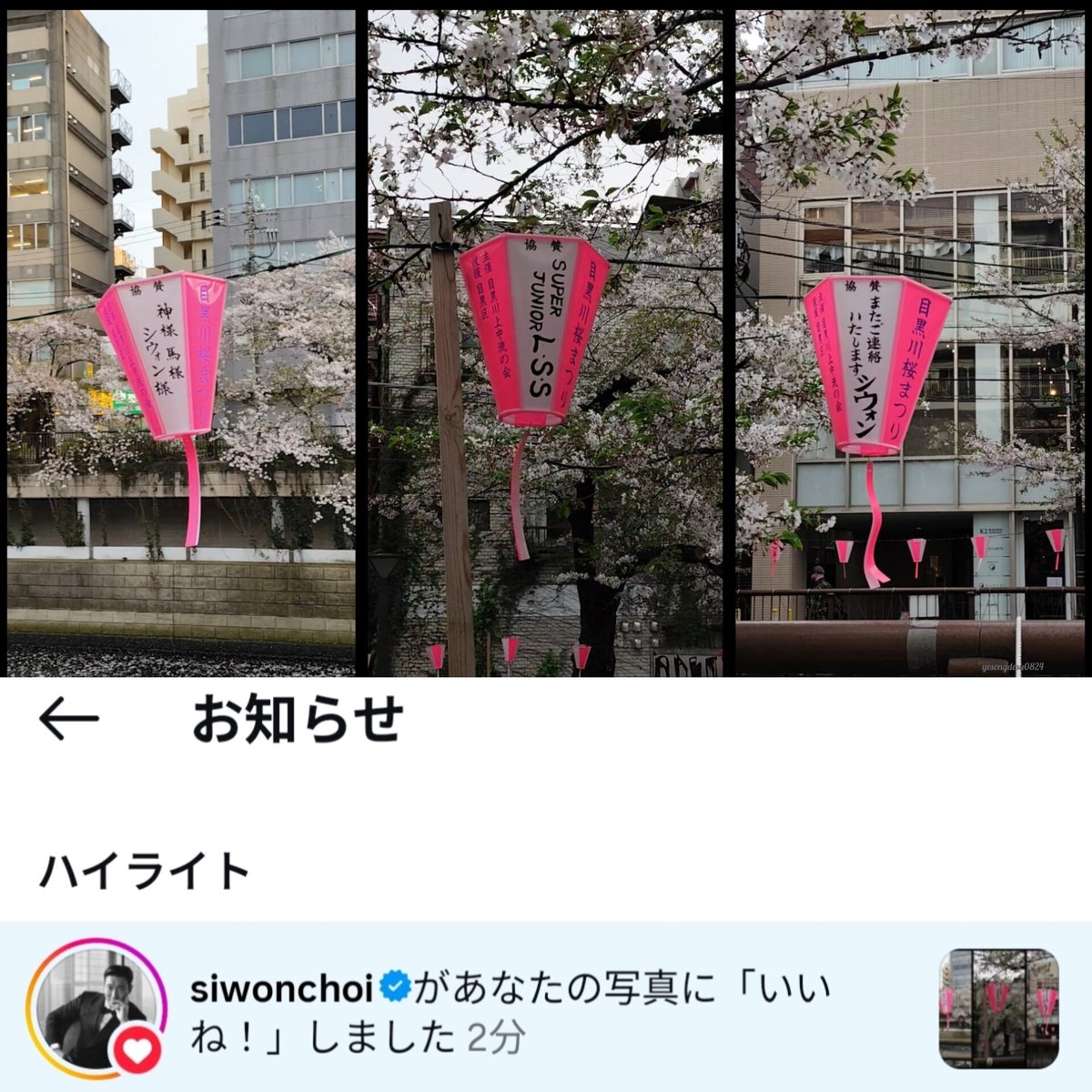 シウォンさんの誕生日に昨日見に行った中目黒の🌸とぼんぼりをInstagramに載せたら🦄さんから久々に👍️が😭
直接見る事が出来ないのは残念だけど、いつか本人達に見てもらえたら有志で出して下さったファンの方も喜ぶだろうな😊
<a href="/siwonchoi/">Siwon Choi</a>
#happysiwonday #siwon #シウォン #시원 
#슈퍼주니어