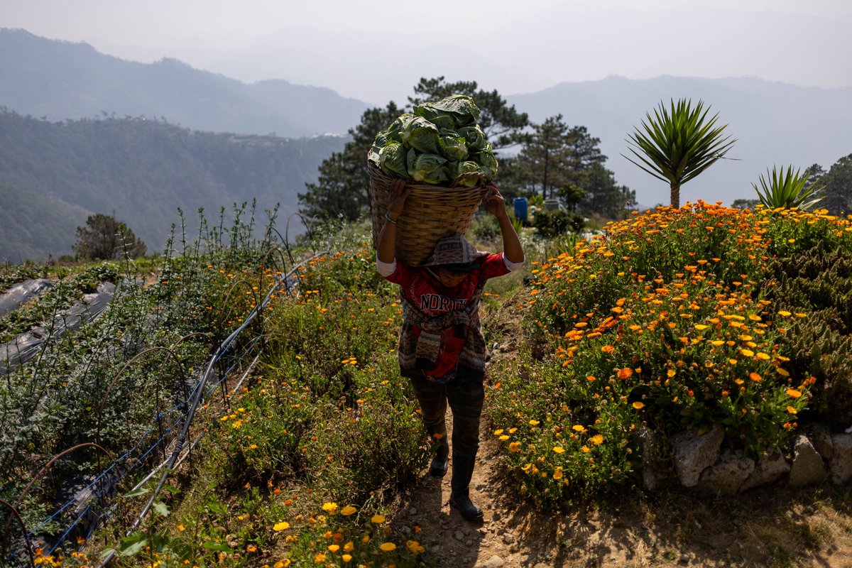 GMA News tweet media