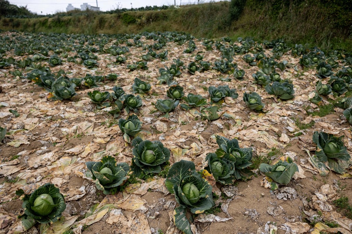 GMA News tweet media